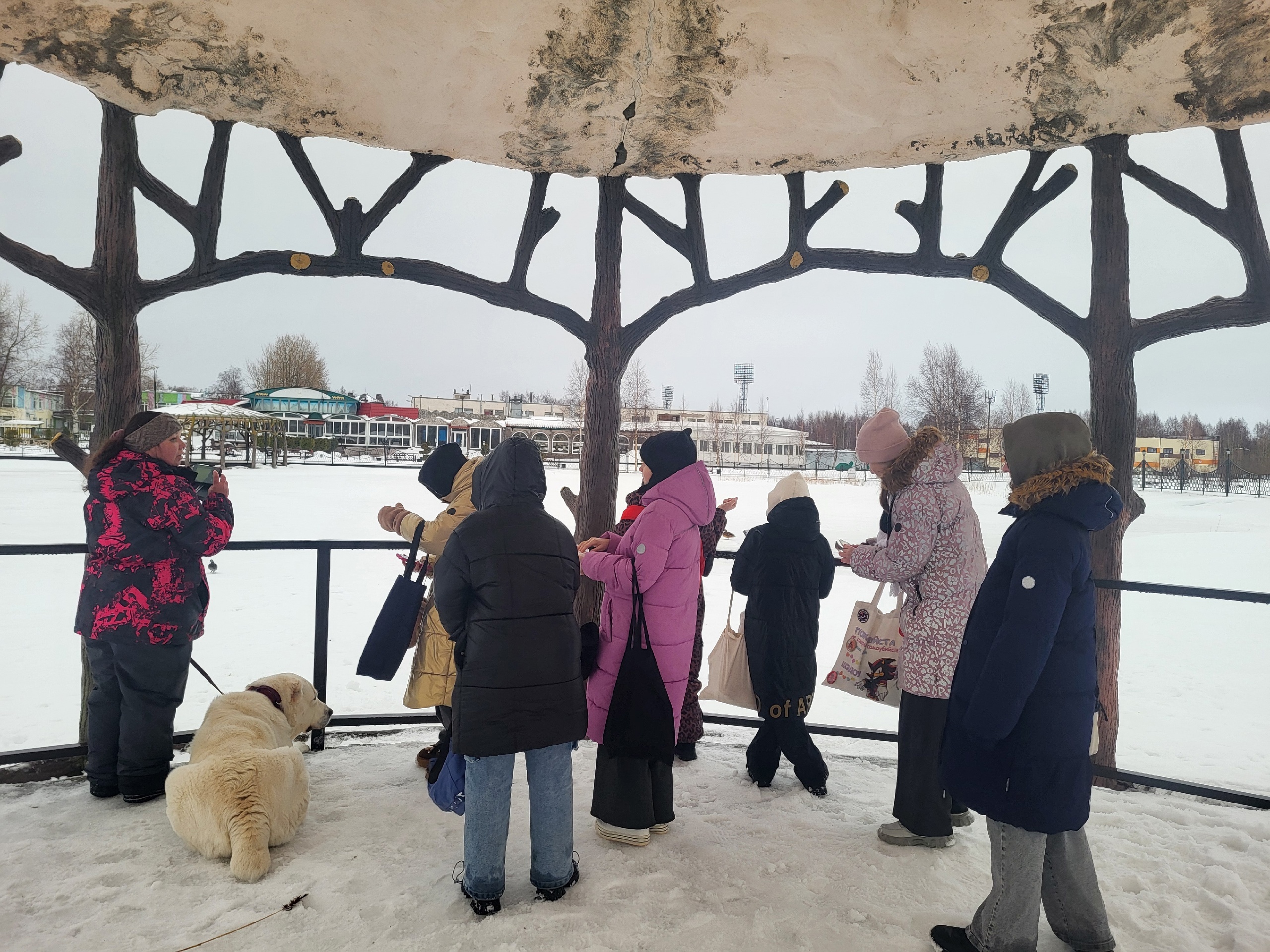 Экологические наблюдения кванторианцев в помощь учёным.