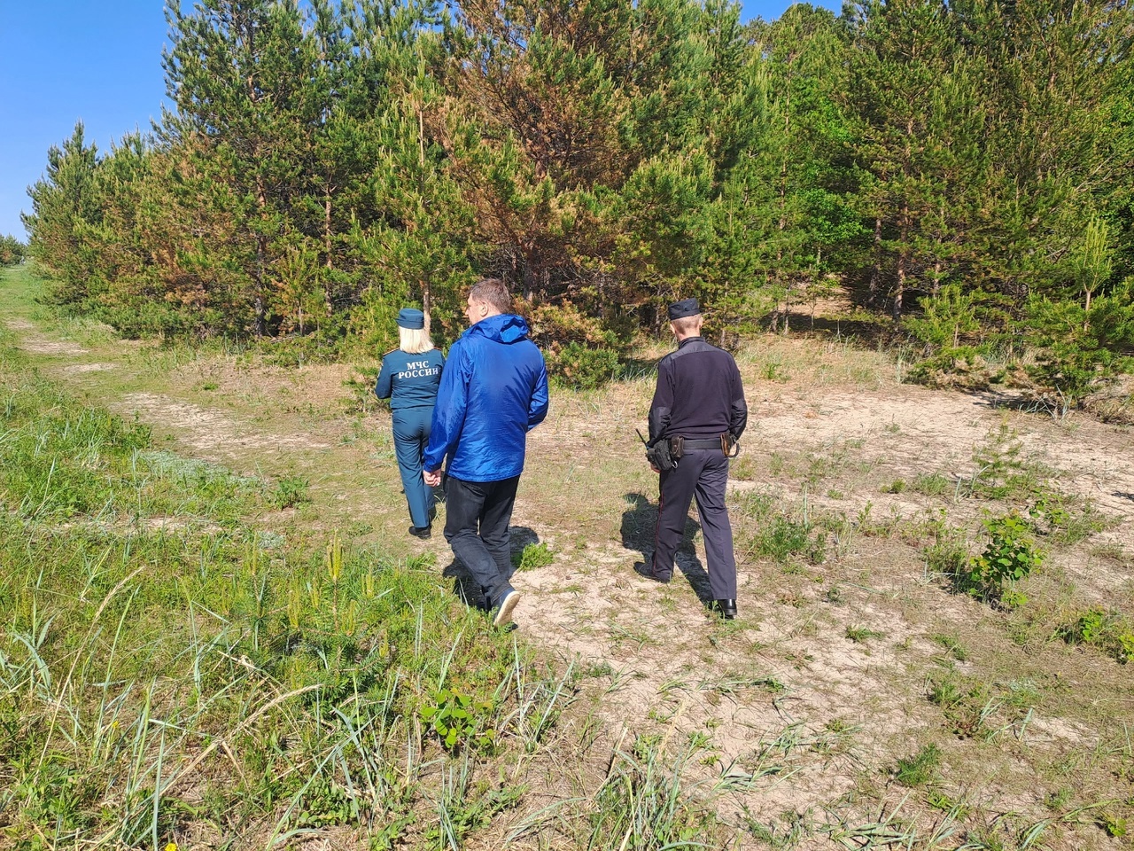 В Ягринском бору – никаких костров!.