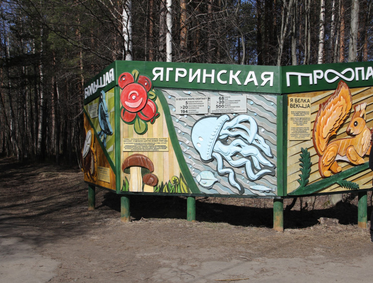 Национальная туристическая премия: поддержим проект ОЗЯБ!. Национальная туристическая премия: поддержим проект ОЗЯБ!.