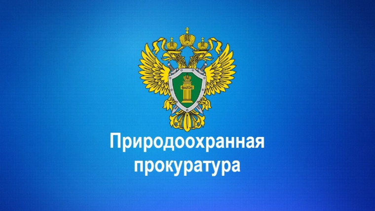 Архангельская межрайонная природоохранная прокуратура разъясняет. Архангельская межрайонная природоохранная прокуратура разъясняет.