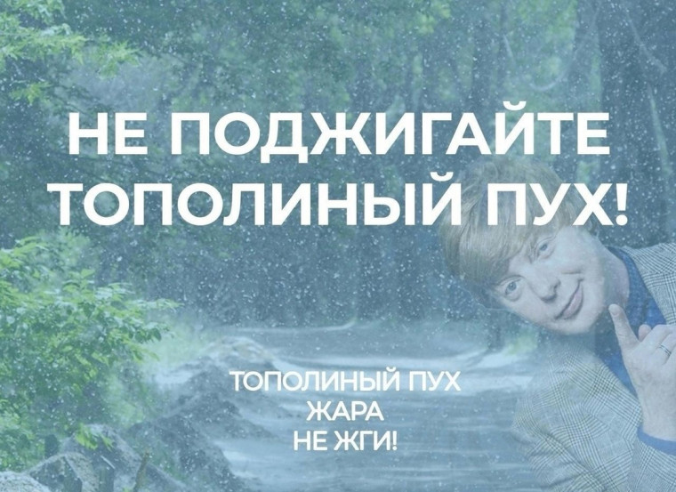 Тополиный пух – источник пожарной опасности. Тополиный пух – источник пожарной опасности.