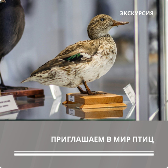 В субботу – на выставку в музей!. В субботу – на выставку в музей!.