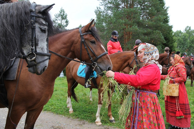 Фото с сайта: https://dvinanews.ru/news/detail/15926. Фото с сайта: https://dvinanews.ru/news/detail/15926.