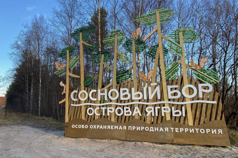 Отдыхайте в Ягринском бору без нарушений!. Отдыхайте в Ягринском бору без нарушений!.